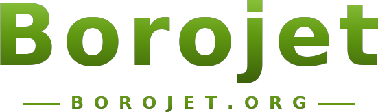 Borojet logo
